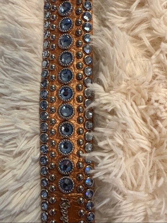 Kippy’s  bronze  metallic leather belt with light blue Swarovski crystals.